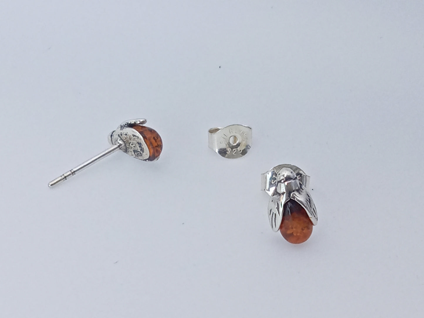 BROQUEL MOSCA