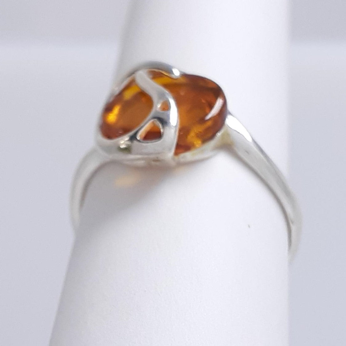 ANILLO YANG