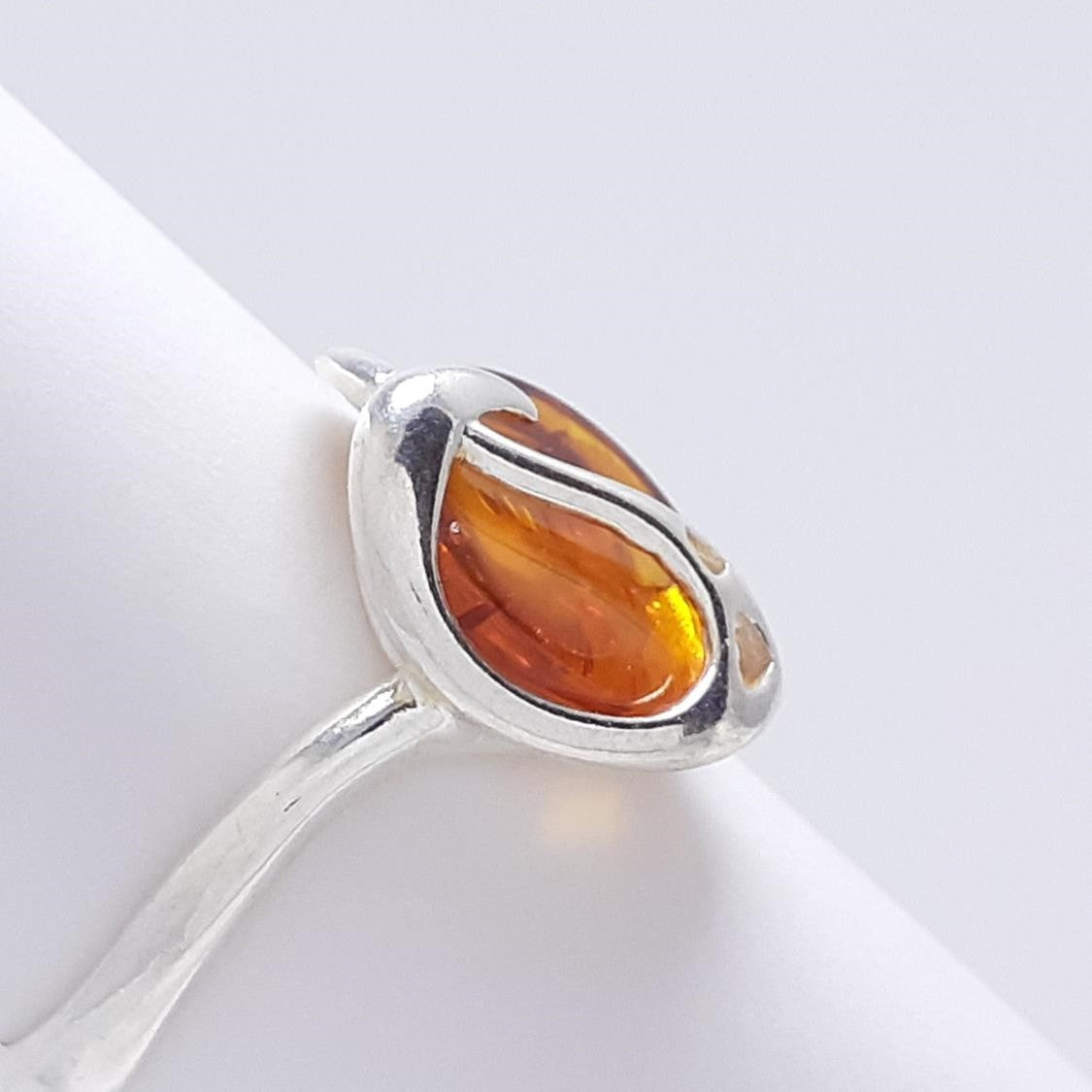 ANILLO YANG