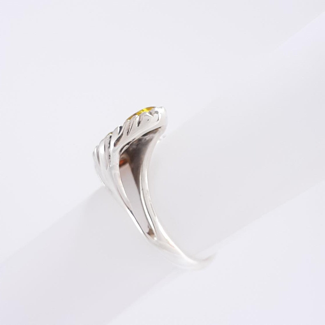ANILLO TROYA