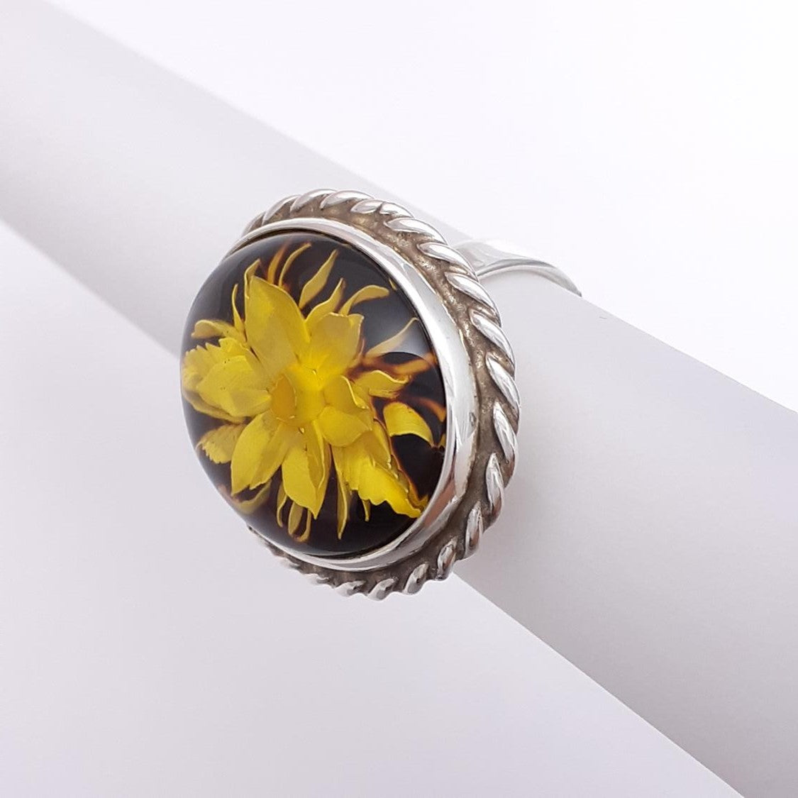 ANILLO RIO