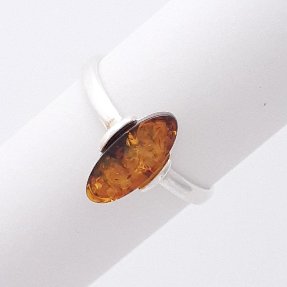 ANILLO BOLONIA